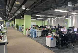 免费网站建设南宁网站建设公司